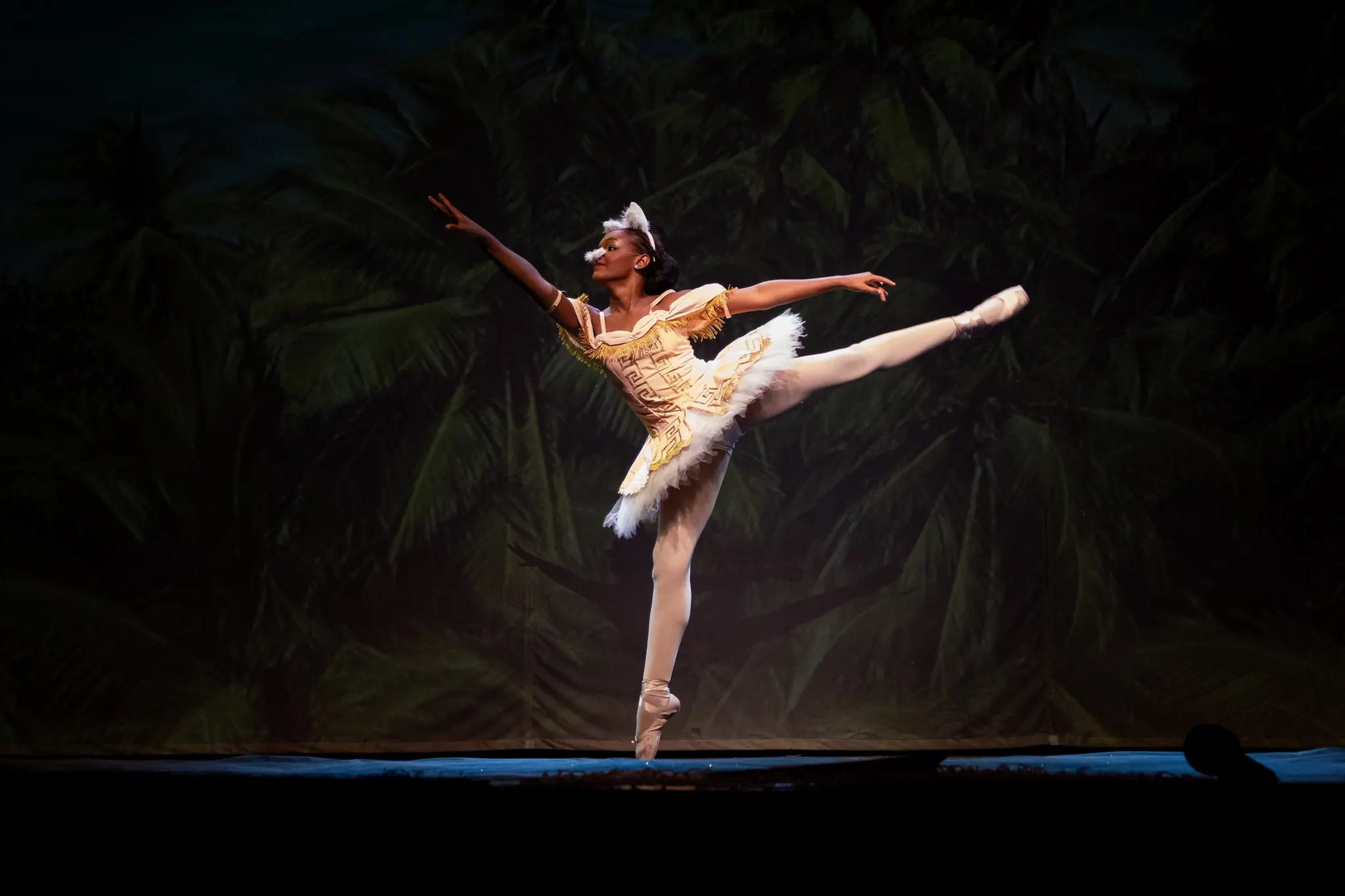 bailarina como personagem porquinho